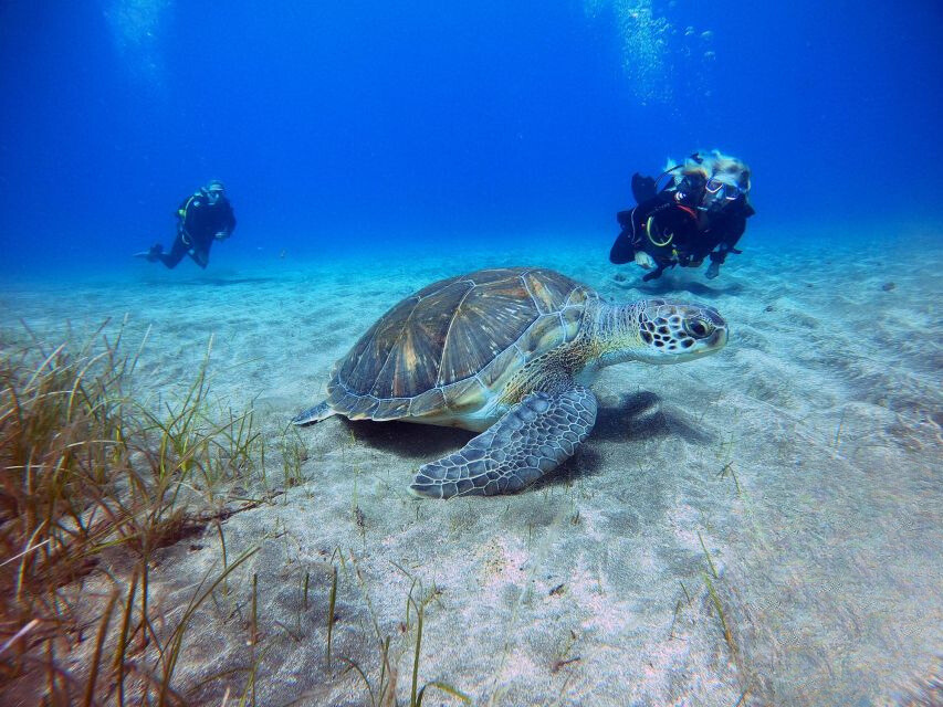 Buceo en Tenerife para buceadores certificados