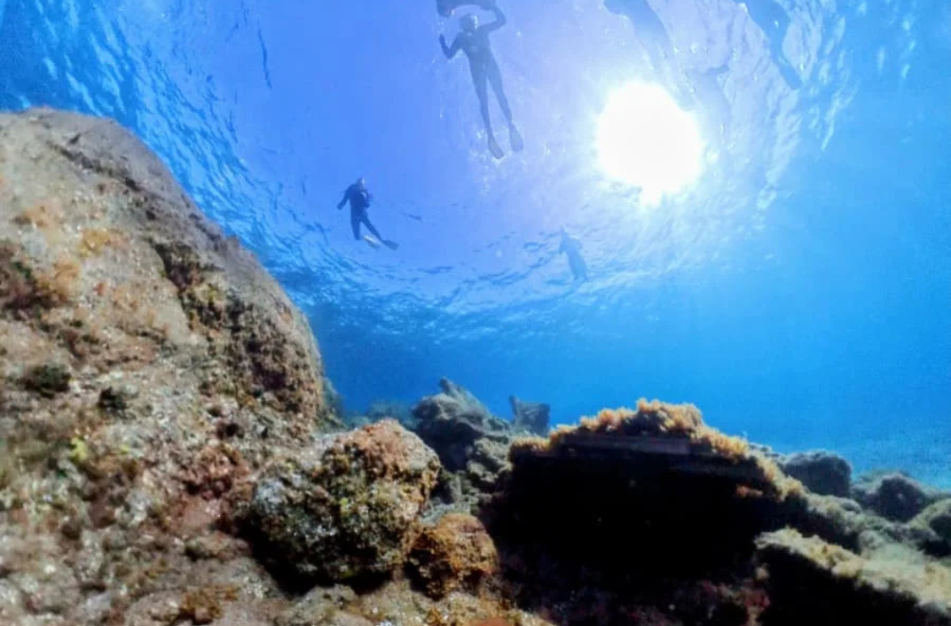 Snorkel en Abades Tenerife